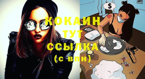 стаф Алексин