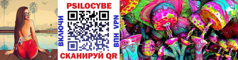 Купить закладки  Зима  Галлюциногенные грибы мицелий 